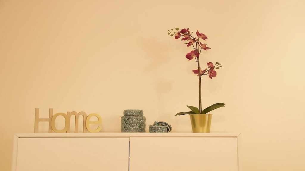 Apartamento Con Jardin Y Piscina B 푸에르토 드 라 크루즈 외부 사진