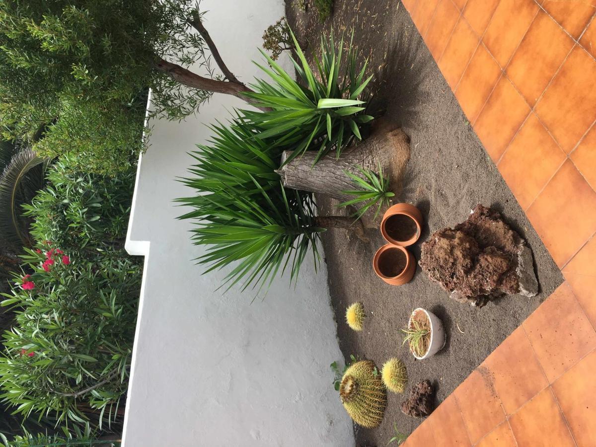 Apartamento Con Jardin Y Piscina B 푸에르토 드 라 크루즈 외부 사진